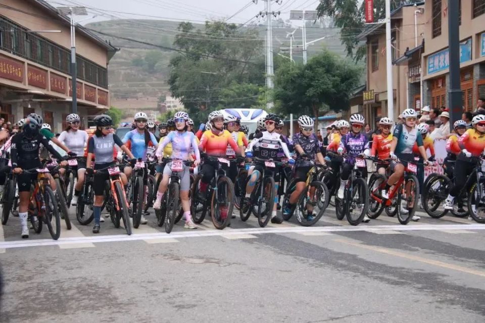 随后其他组, AA, TxmEE